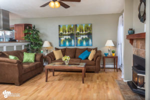 Northern Lights Home Staging and Design consultation