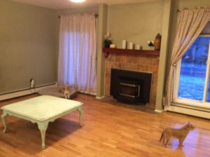 Northern Lights Home Staging and Design consultation