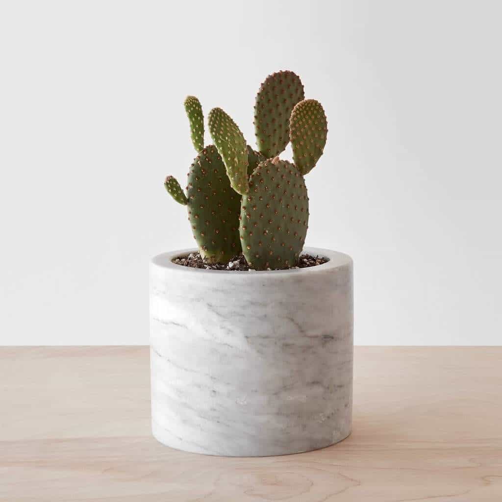 PUEBLA MARBLE PLANTER . Photo from The Citizenry #affiliate