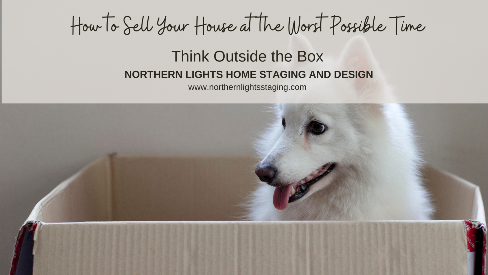 How to Sell Your House at the Worst Possible Time. Try a virtual home staging consultation or virtual staging. Northern Lights Home Staging and Design