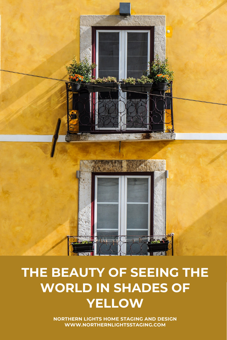 Seeing the Beauty of the World in Shades of Yellow