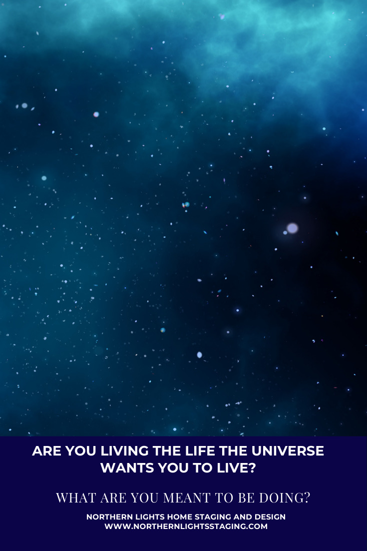 Are You Living the Life the Universe Wants You to Live?