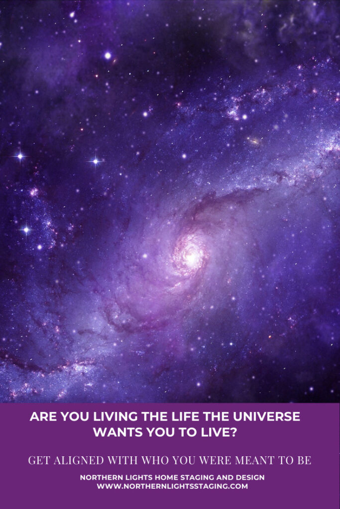 Are You Living the Life the Universe Wants You to Live?