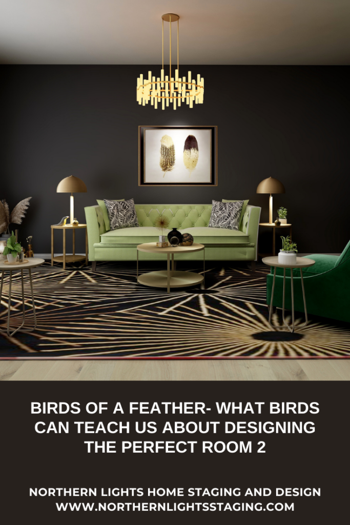 Birds of a Feather- What Birds Can Teach Us About Designing the Perfect Room 2