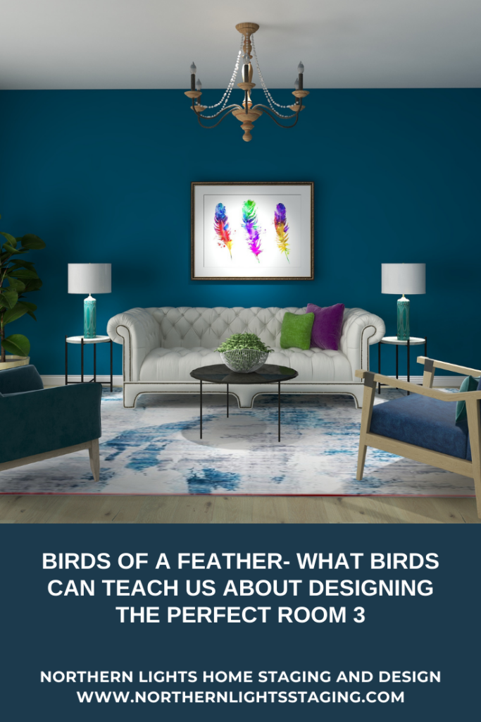 Birds of a Feather- What Birds Can Teach Us About Designing the Perfect Room 3