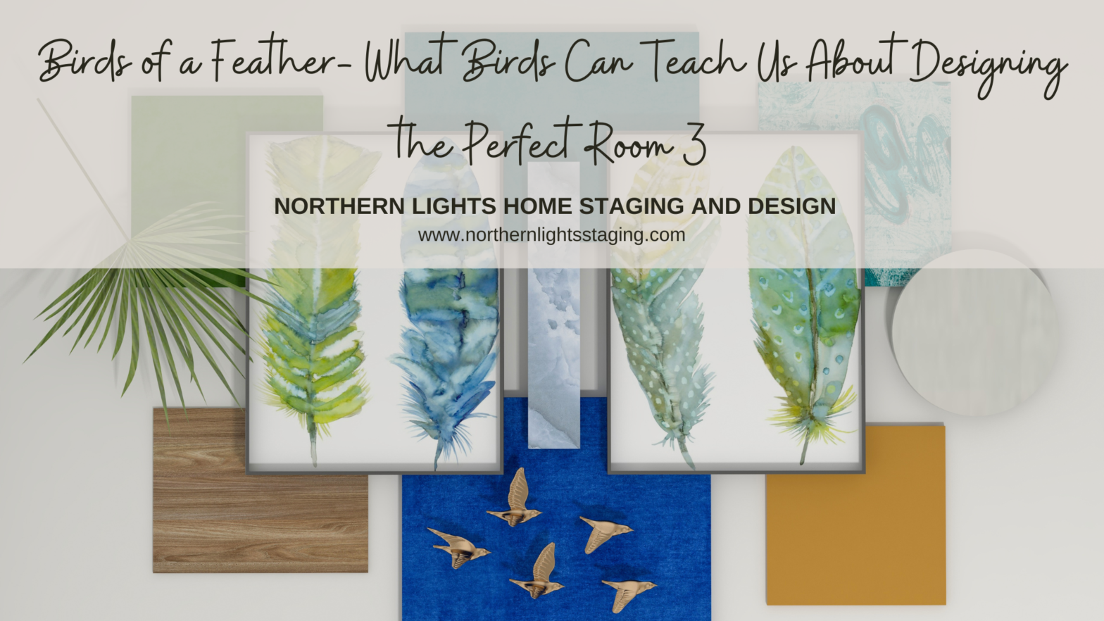 Birds of a Feather- What Birds Can Teach Us About Designing the Perfect Room 3