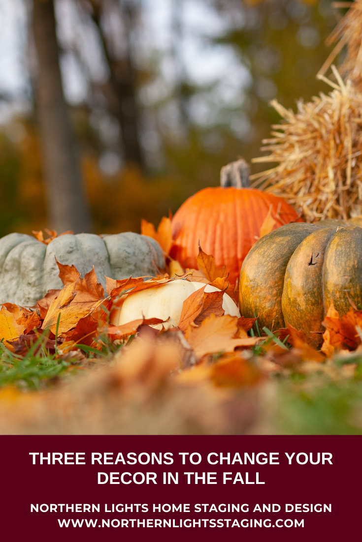 Three Reasons to Change Your Decor in the Fall. Photo by Joseph Gonzalez on Unsplash