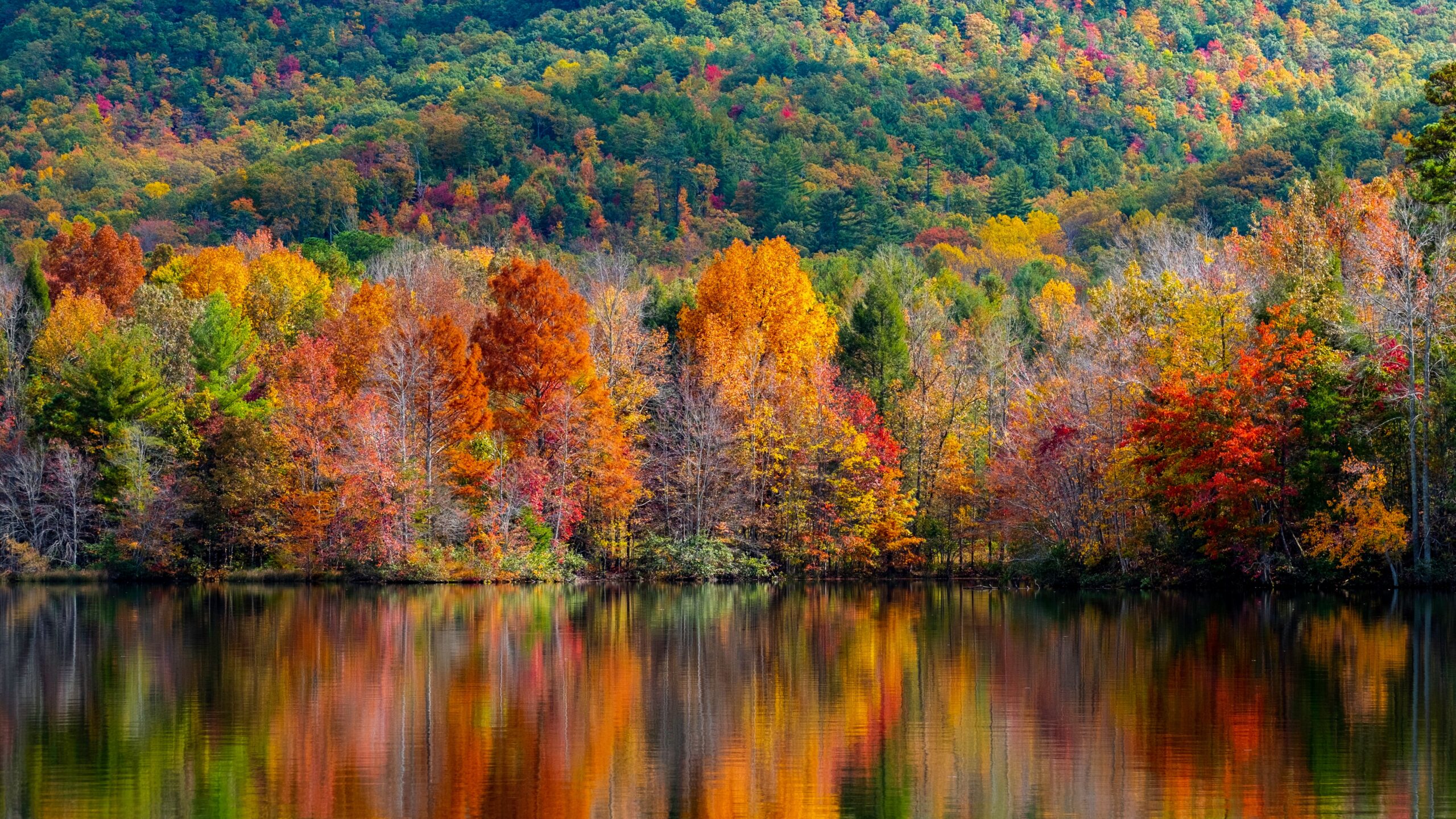 Three Reasons to Change Your Decor in the Fall. Photo by Jeffery Cullman on Unsplash.