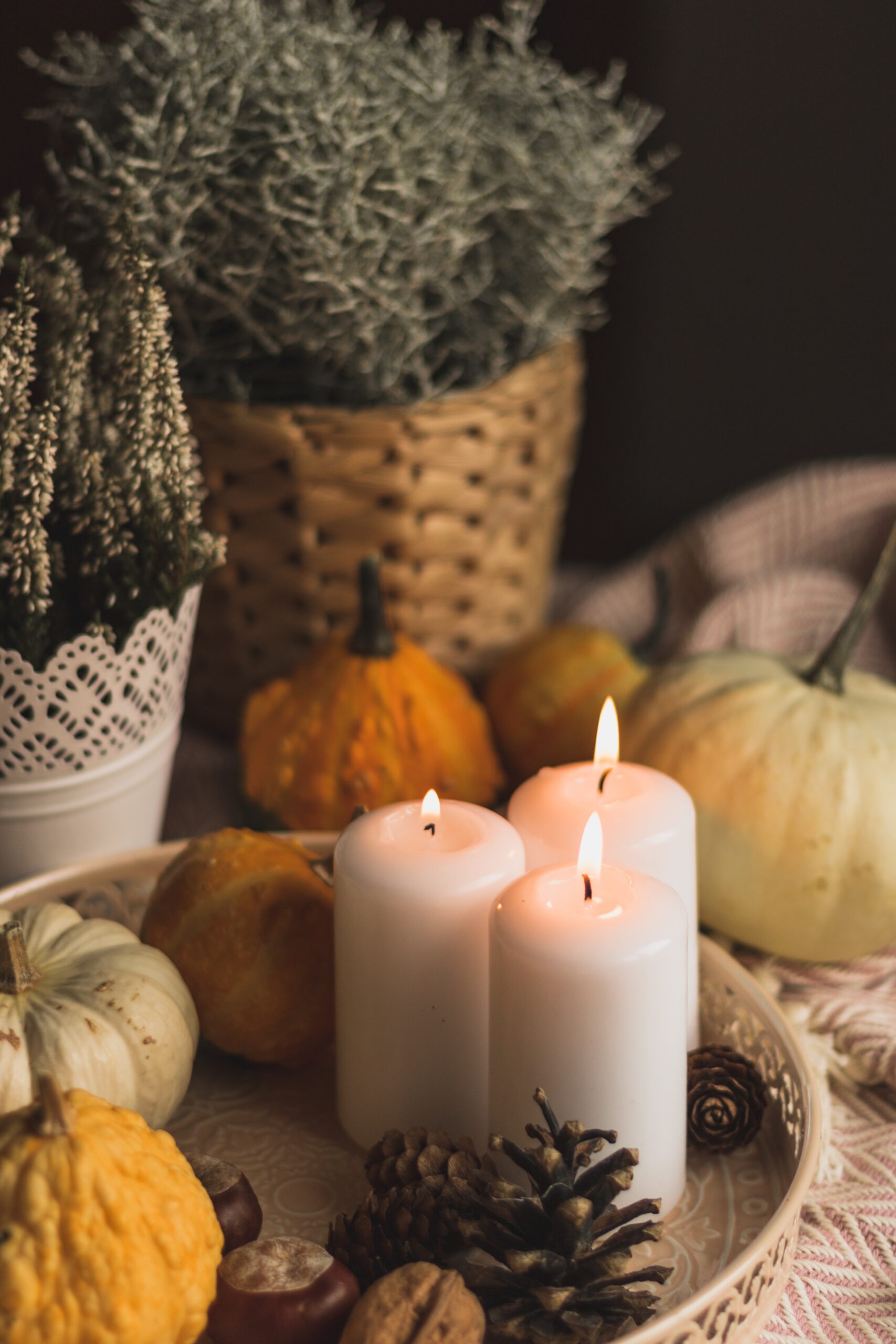 Three Reasons to Change Your Decor in the Fall. Photo by svitlana on Unsplash.