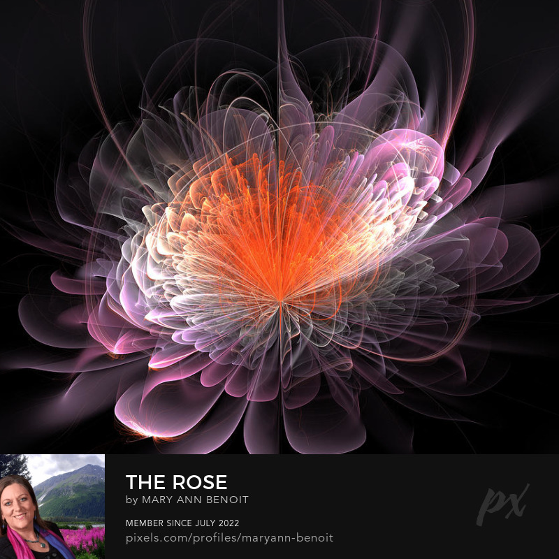 "The Rose" by Mary Ann Benoit of Northern Lights Home Staging and Design