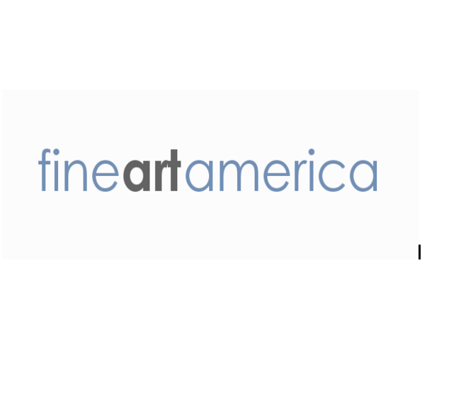 fine art america