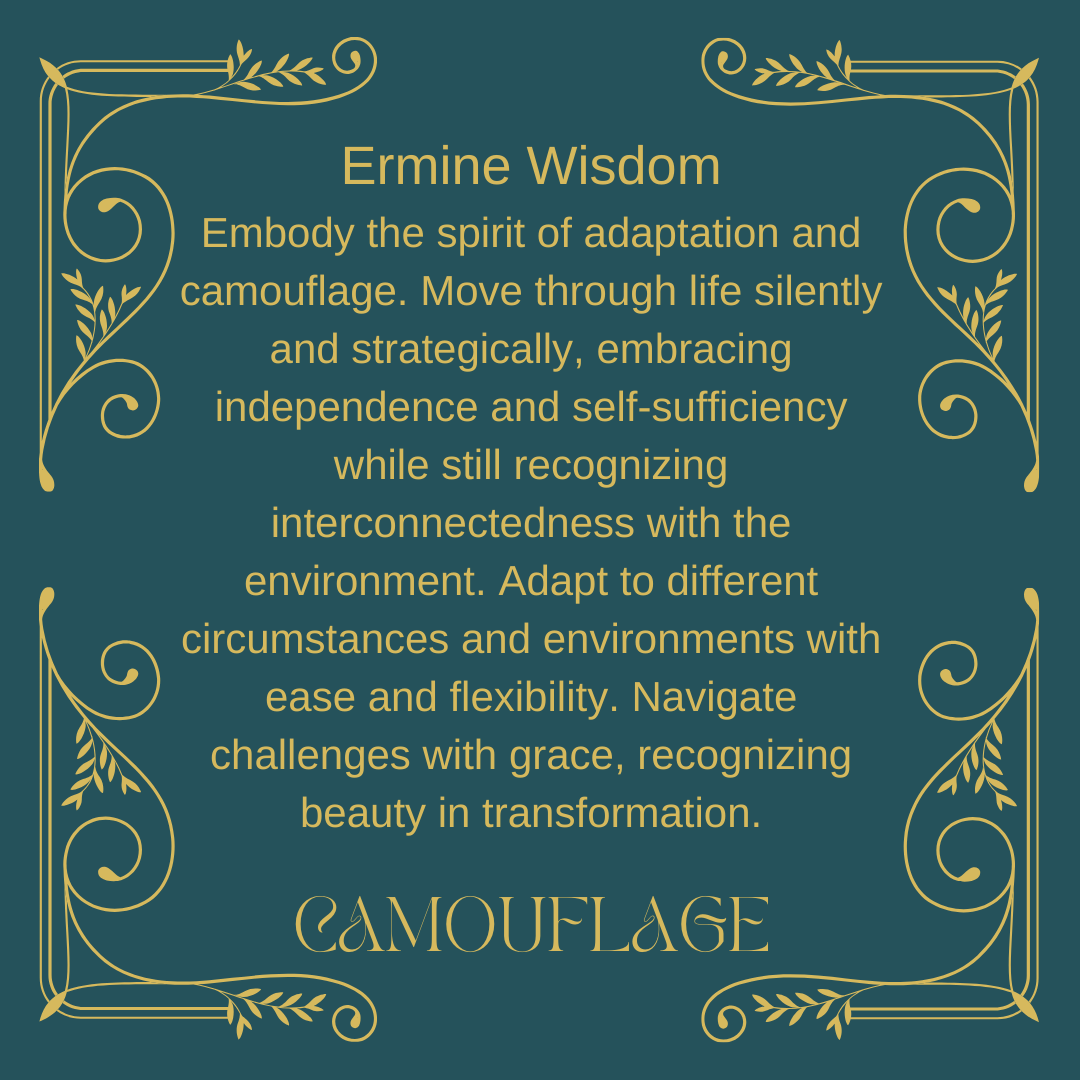 CAMOUFLAGE energy art by Mary Ann Benoit